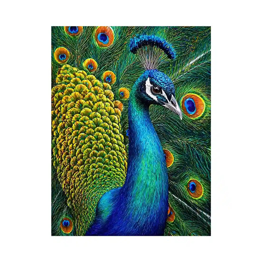 peacock close up wall art colorful feathers, vibrant bird painting canvas print, detailed peacock feather artwork modern decor, luxury peacock illustration