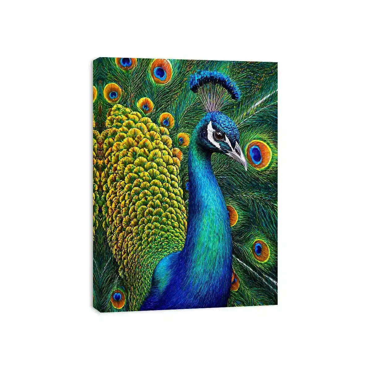 peacock close up wall art colorful feathers, vibrant bird painting canvas print, detailed peacock feather artwork modern decor, luxury peacock illustration