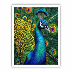 peacock close up wall art colorful feathers, vibrant bird painting canvas print, detailed peacock feather artwork modern decor, luxury peacock illustration