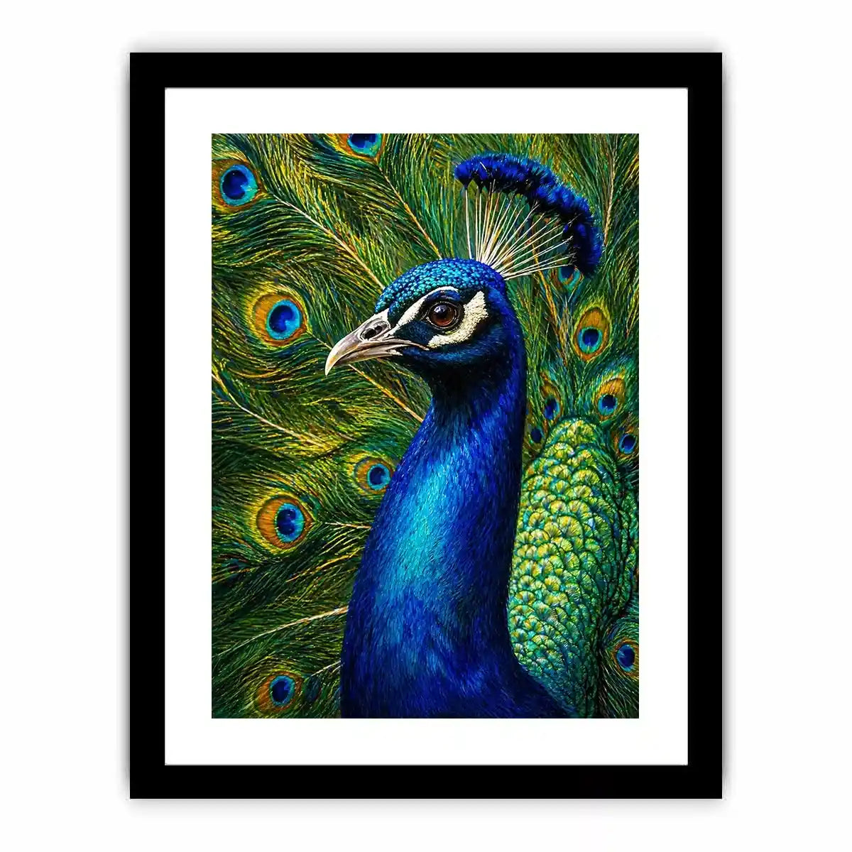 Vibrant peacock wall art with detailed blue and gold feathers