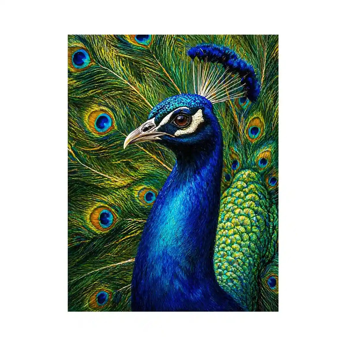 Vibrant peacock wall art with detailed blue and gold feathers