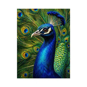 Vibrant peacock wall art with detailed blue and gold feathers