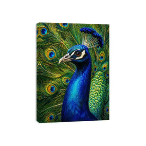 Vibrant peacock wall art with detailed blue and gold feathers