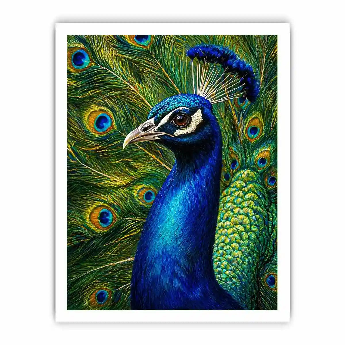 Vibrant peacock wall art with detailed blue and gold feathers