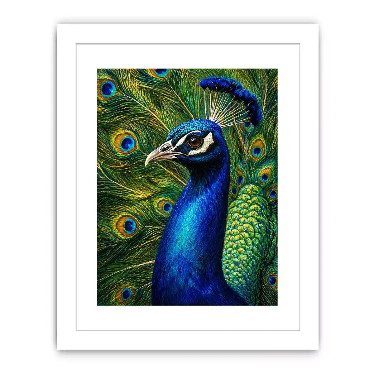 Vibrant peacock wall art with detailed blue and gold feathers