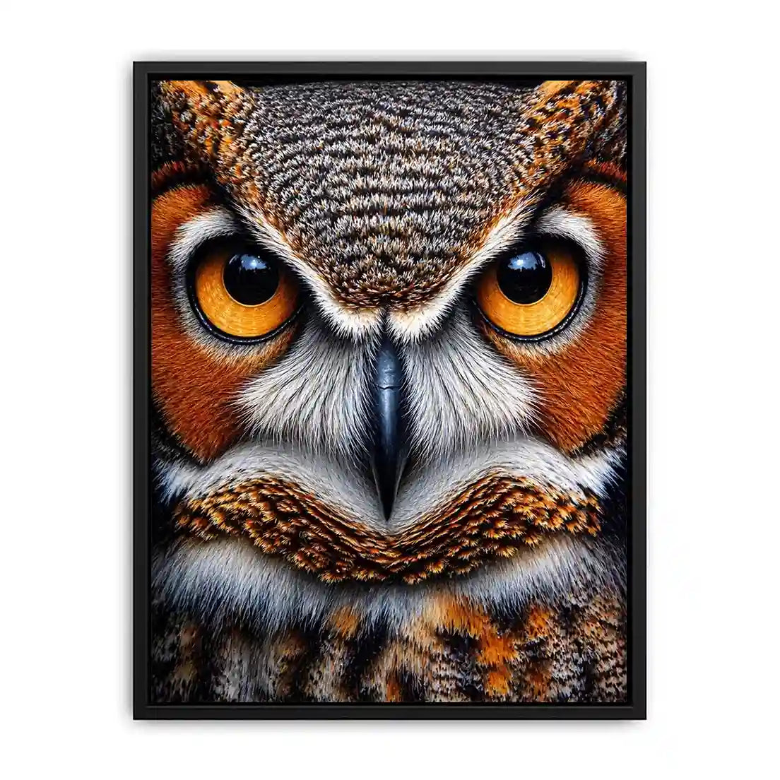 owl close up portrait intense eyes wildlife canvas wall art