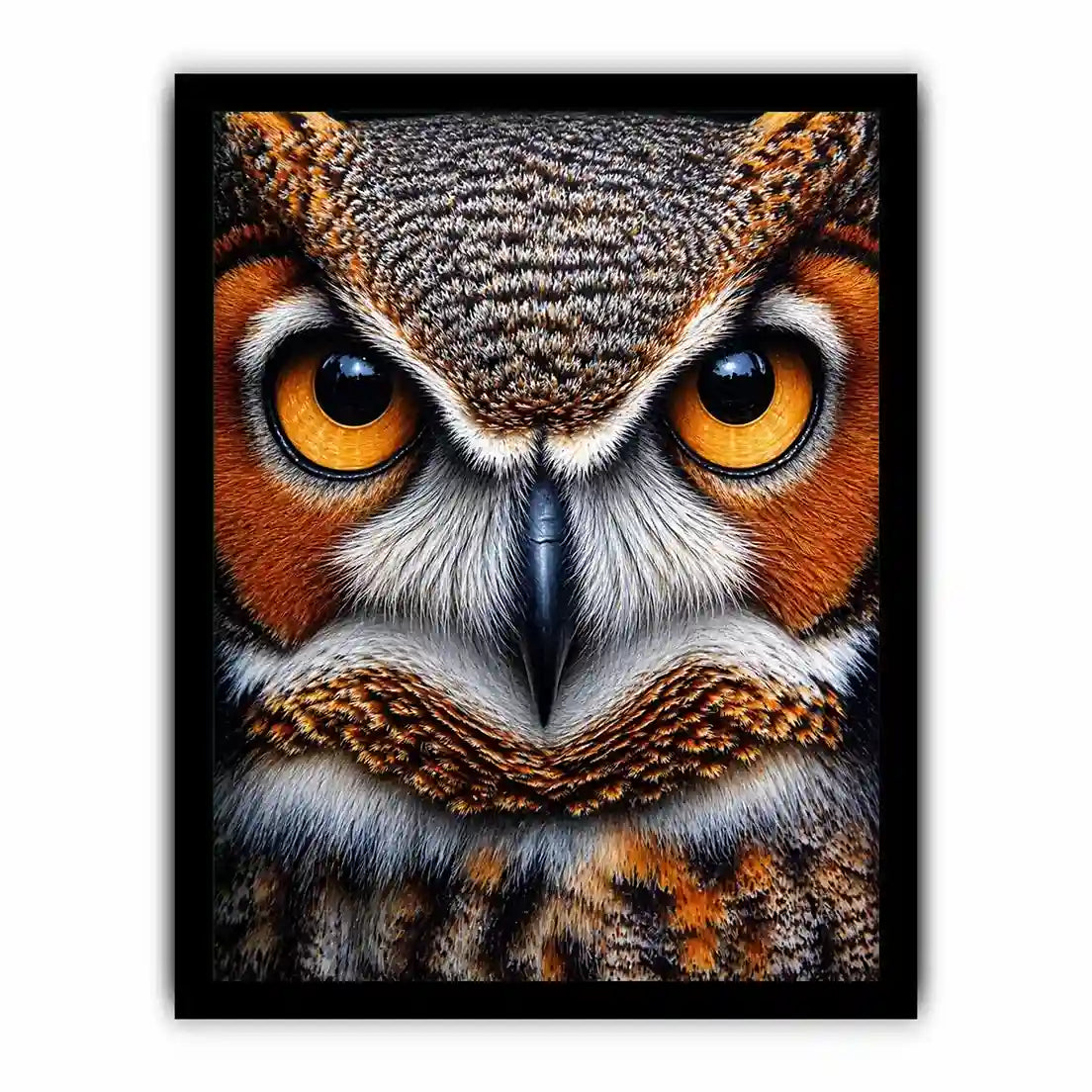 owl close up portrait intense eyes wildlife canvas wall art