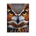 owl close up portrait intense eyes wildlife canvas wall art