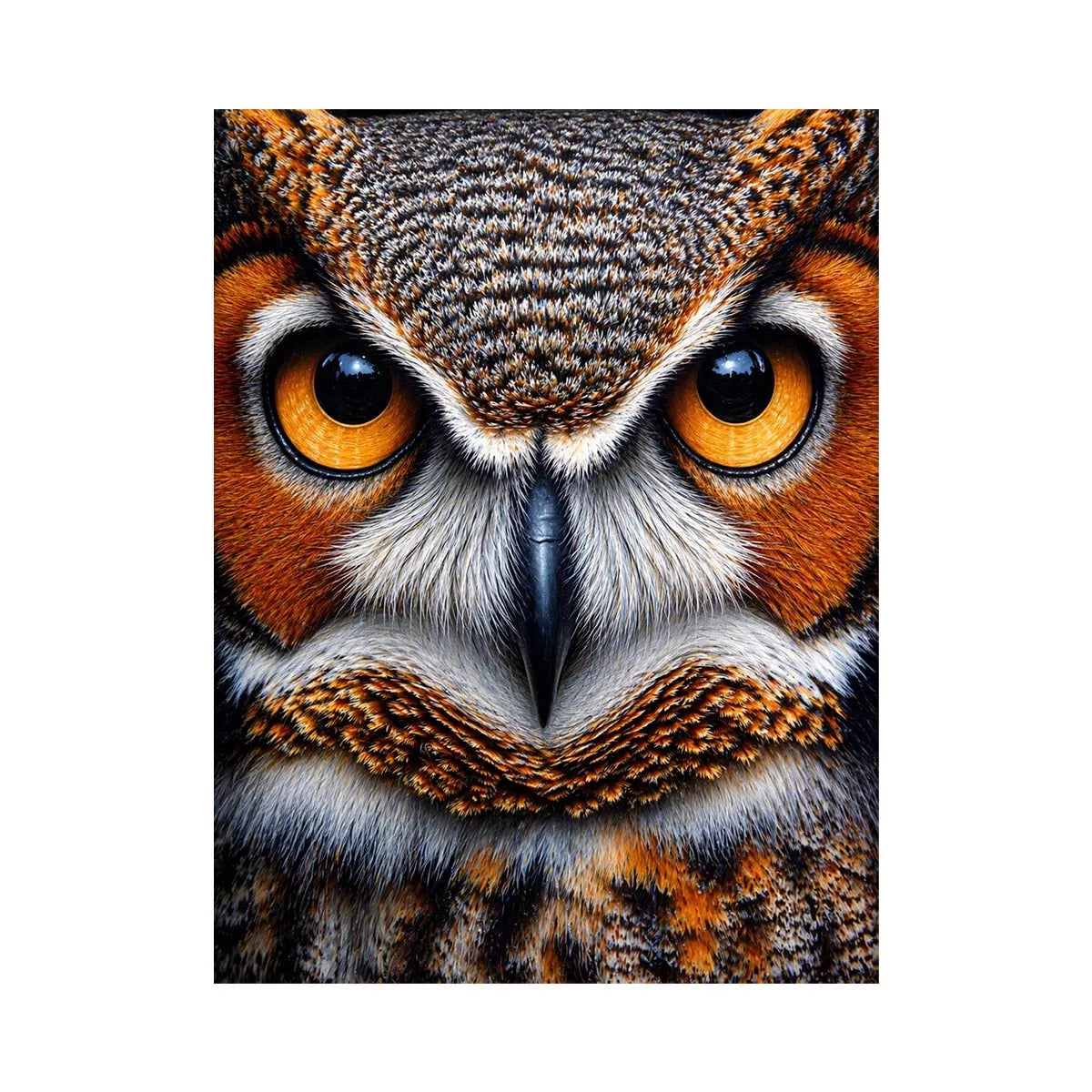 owl close up portrait intense eyes wildlife canvas wall art