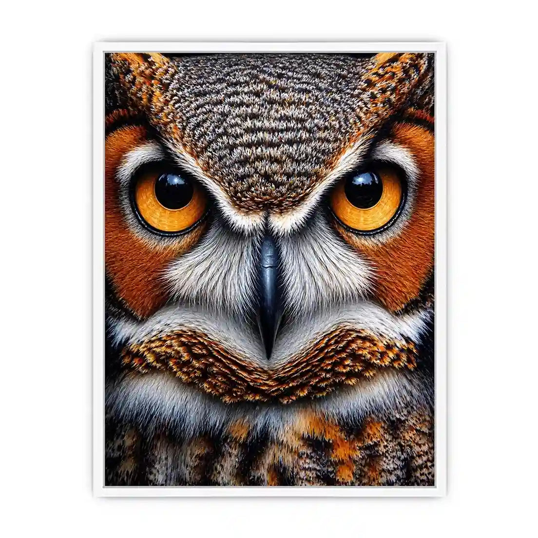 owl close up portrait intense eyes wildlife canvas wall art