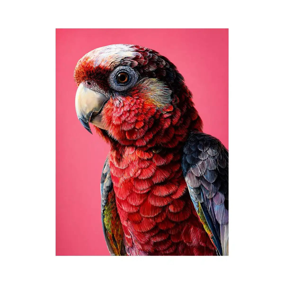 modern parrot portrait wall art vibrant red bird canvas tropical decor