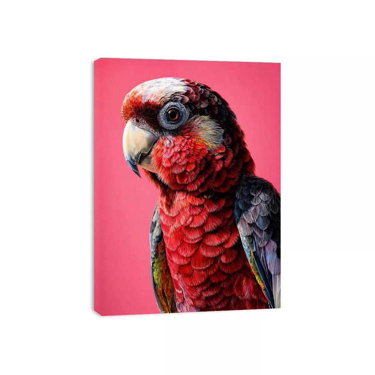 modern parrot portrait wall art vibrant red bird canvas tropical decor
