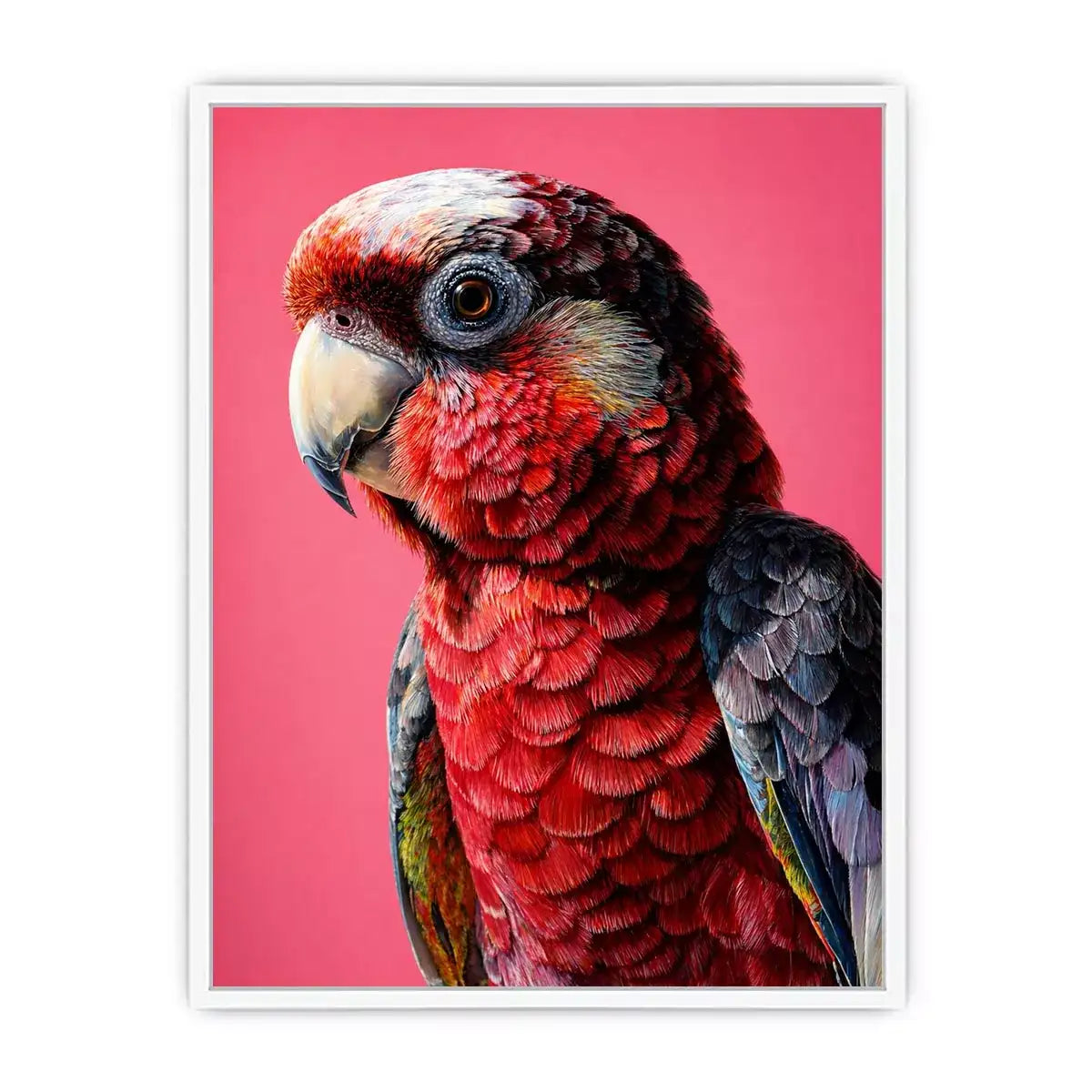 modern parrot portrait wall art vibrant red bird canvas tropical decor