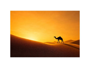 desert camel silhouette sunset sand dunes golden light minimalist wall art canvas decor