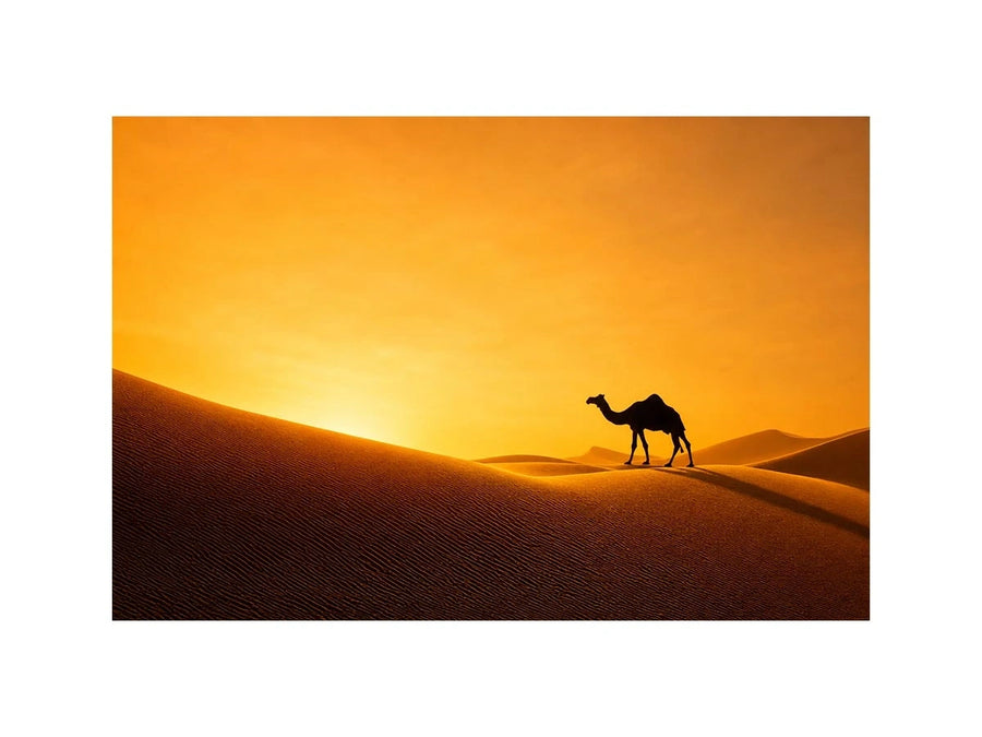 desert camel silhouette sunset sand dunes golden light minimalist wall art canvas decor