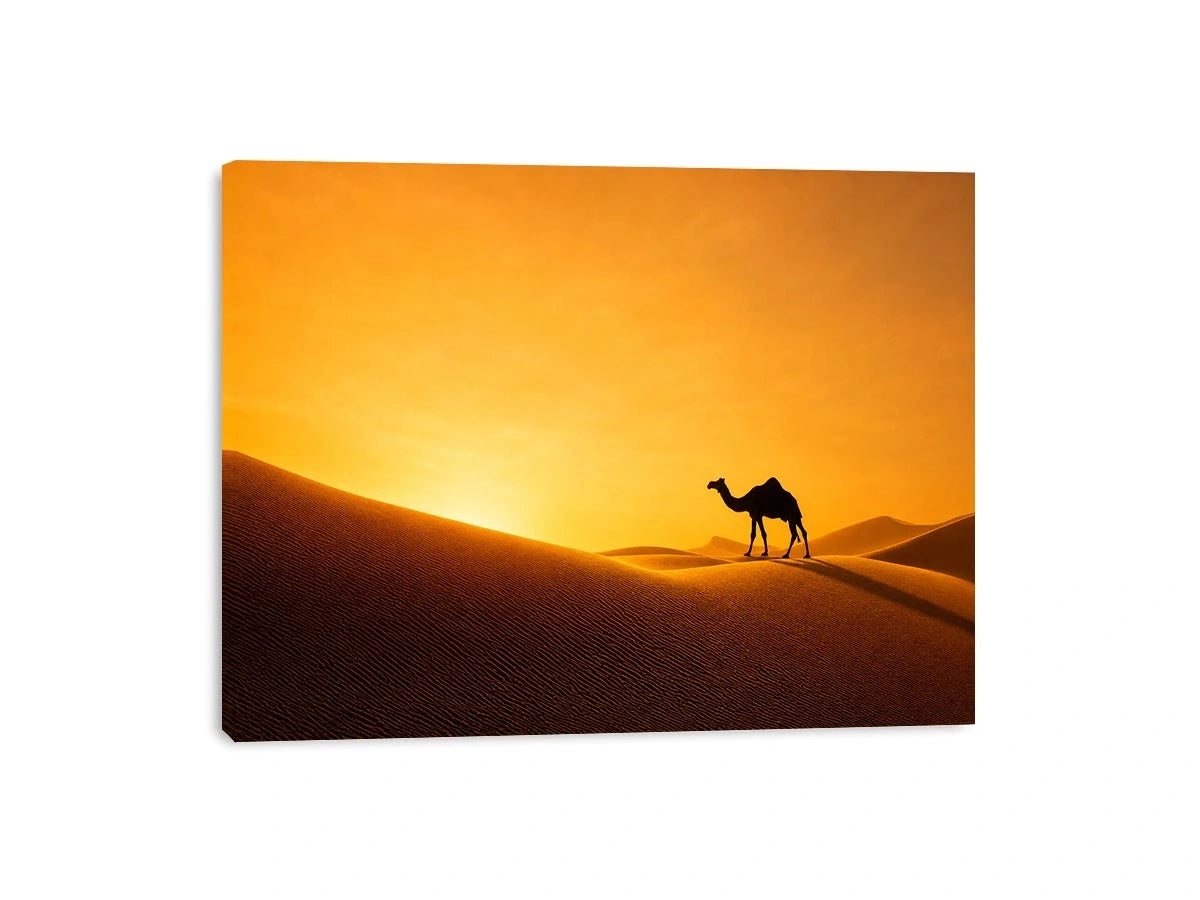 desert camel silhouette sunset sand dunes golden light minimalist wall art canvas decor