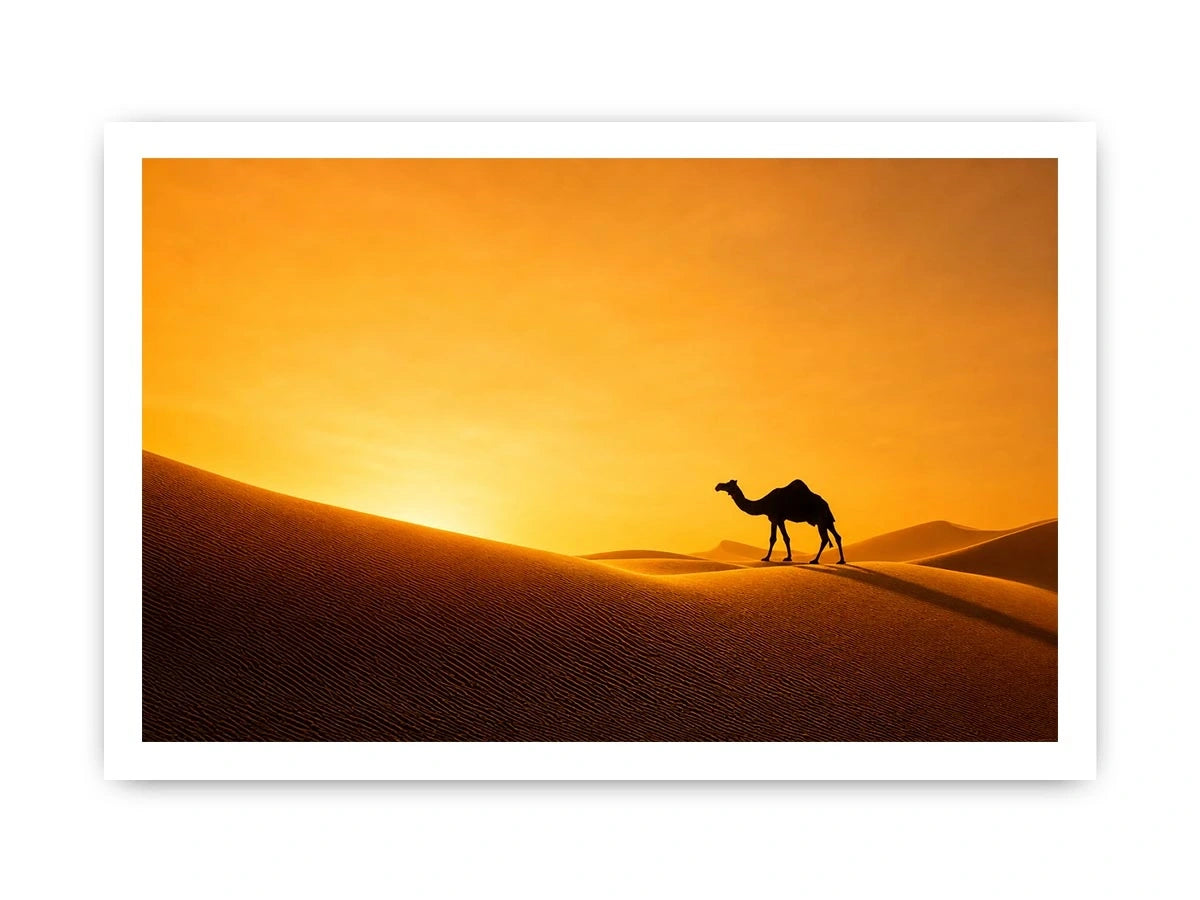 desert camel silhouette sunset sand dunes golden light minimalist wall art canvas decor