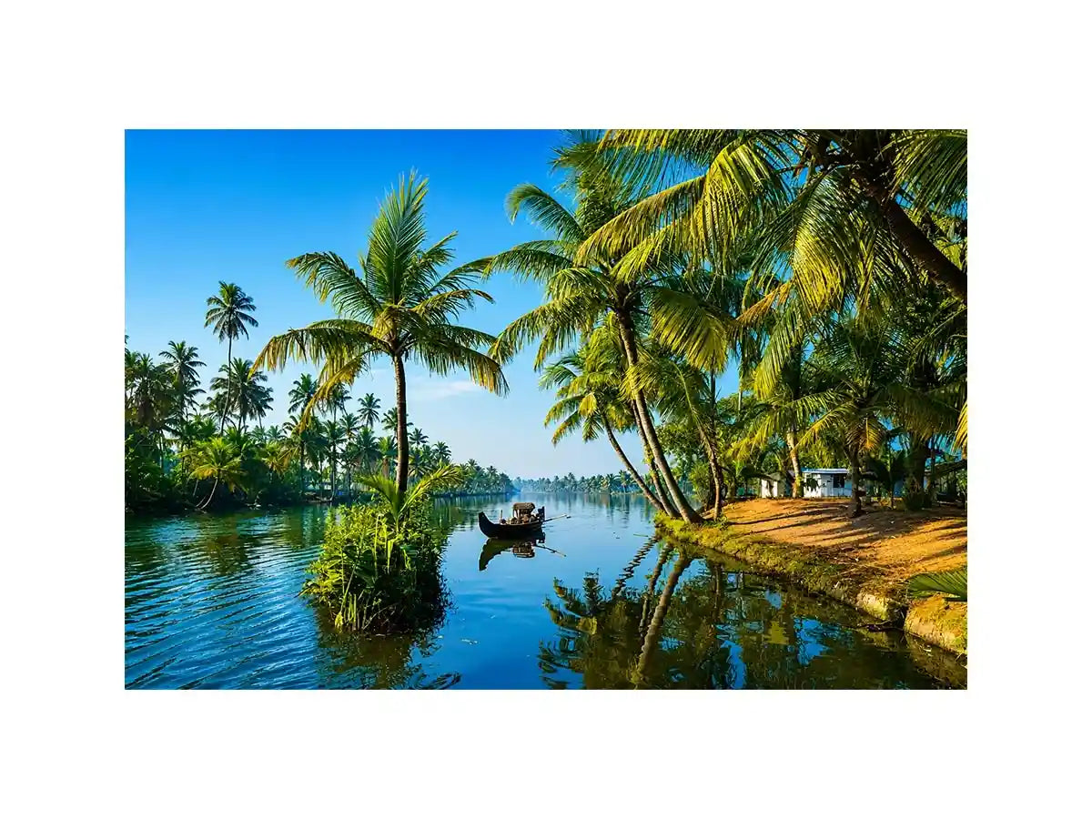 kerala backwaters wall art tropical river palm trees boat serene landscape canvas decor