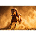running horse desert dust golden light powerful animal wall art canvas