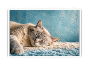sleeping cat soft pastel cozy pet wall art calm home decor canvas