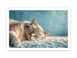 sleeping cat soft pastel cozy pet wall art calm home decor canvas