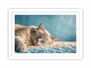 sleeping cat soft pastel cozy pet wall art calm home decor canvas