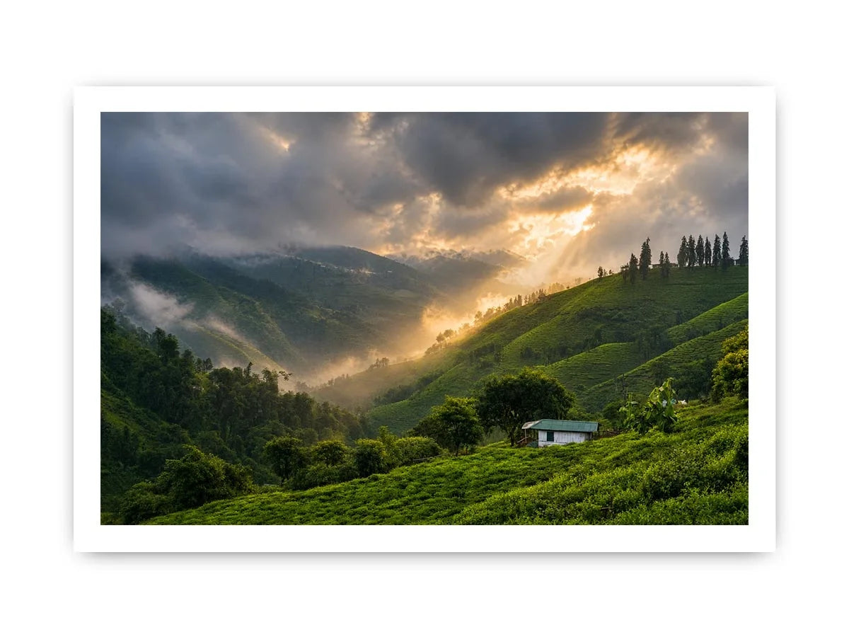 misty green hills landscape fog valley nature wall art peaceful countryside canvas