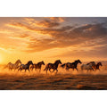 running horses herd desert sunset dust wildlife wall art canvas decor
