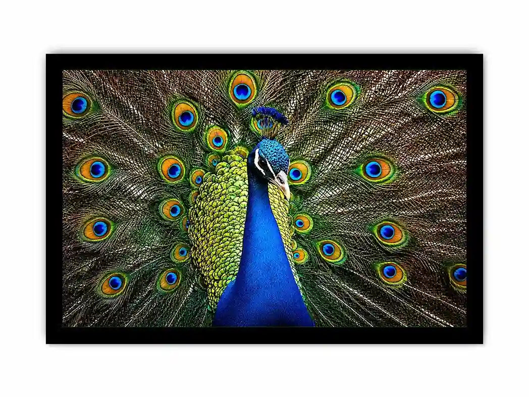 Royal peacock wall art with vibrant blue and green feathers luxury wildlife canvas print