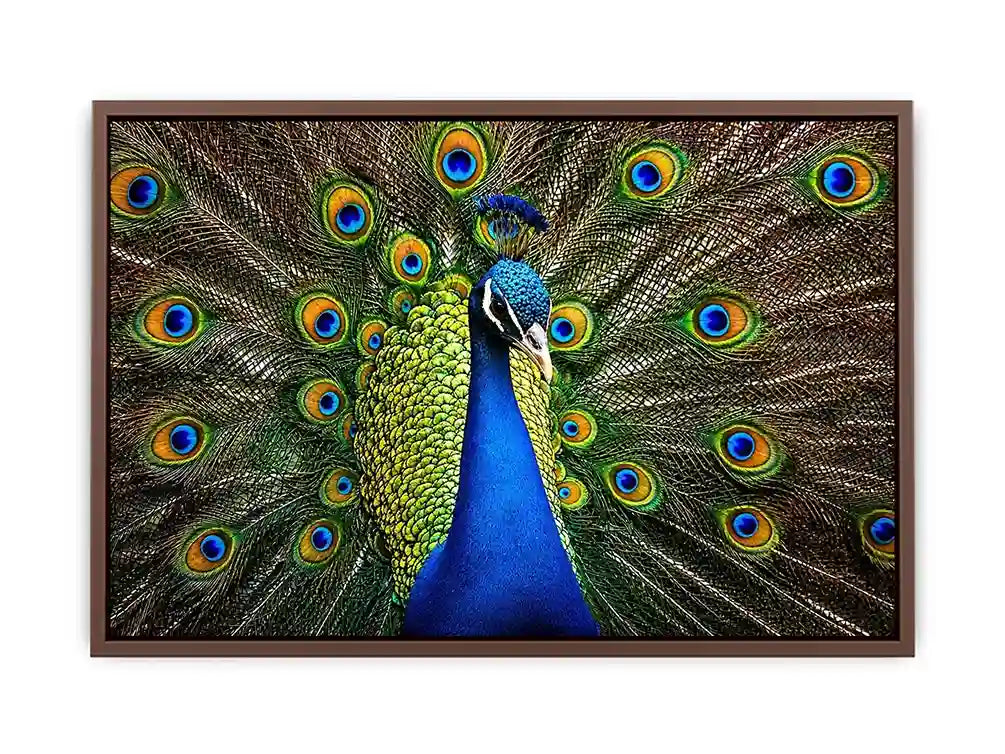 Royal peacock wall art with vibrant blue and green feathers luxury wildlife canvas print