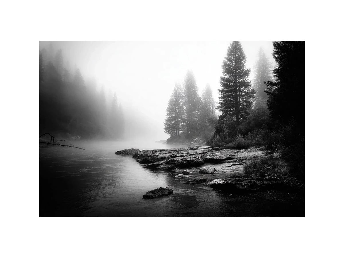 black and white misty forest lake wall art with pine trees and foggy waters minimalist nature landscape canvas print