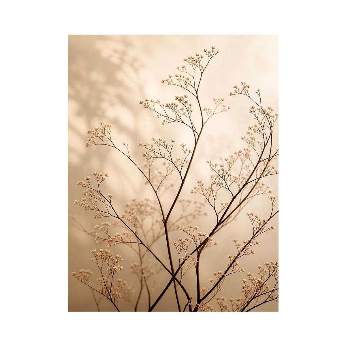 Whispered Bloom premium canvas wall art for modern home decor.