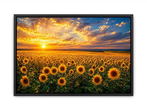 Sunflower field at sunset canvas art for elegant living room decor