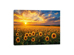 Sunflower field at sunset canvas art for elegant living room decor
