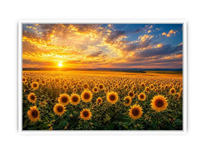 Sunflower field at sunset canvas art for elegant living room decor