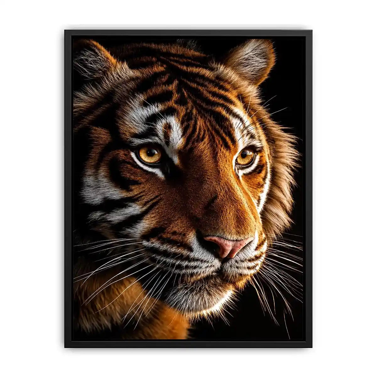 Tiger portrait canvas art with dramatic lighting for modern living room decor.