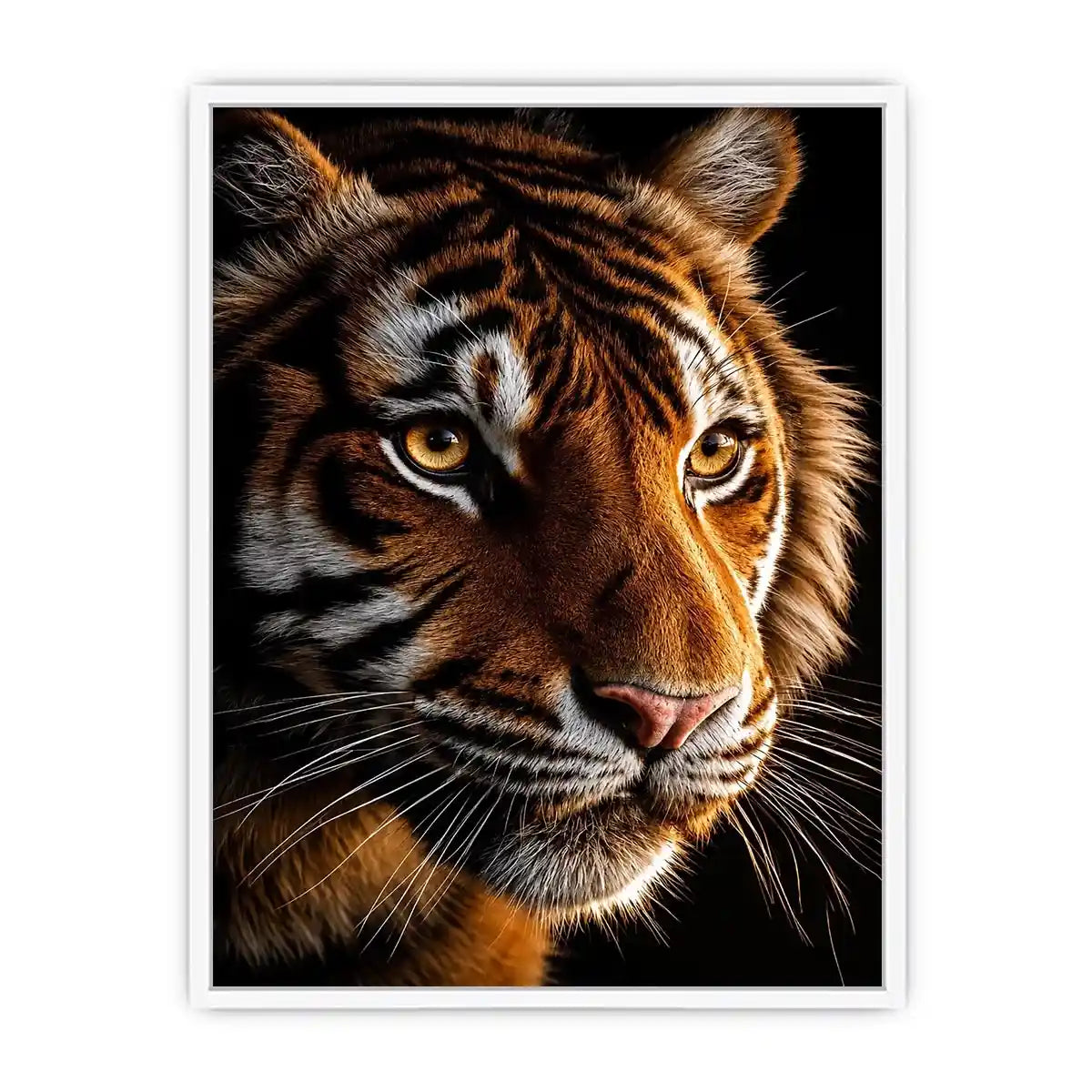 Tiger portrait canvas art with dramatic lighting for modern living room decor.