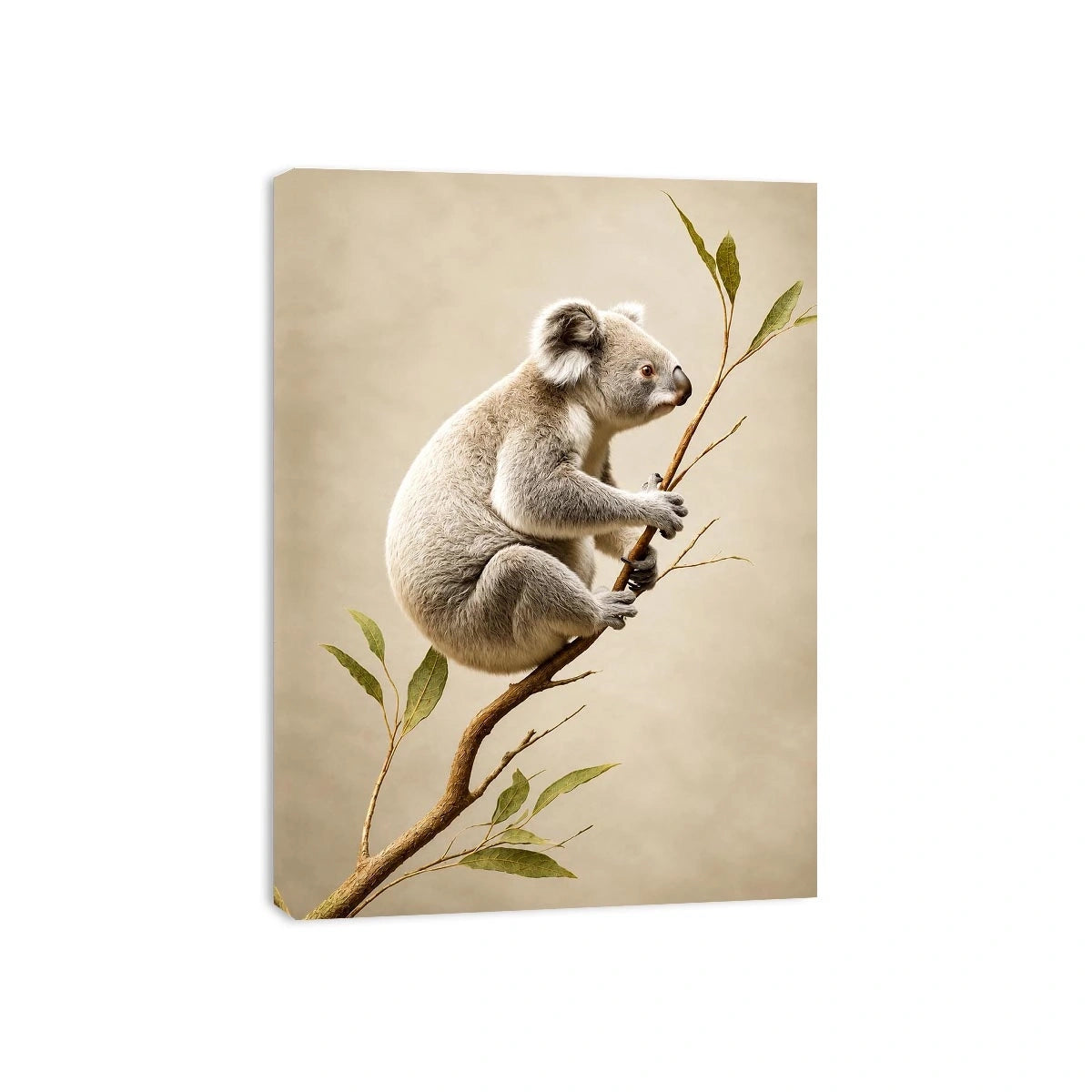 White koala botanical canvas art for soft neutral nursery or bedroom decor.