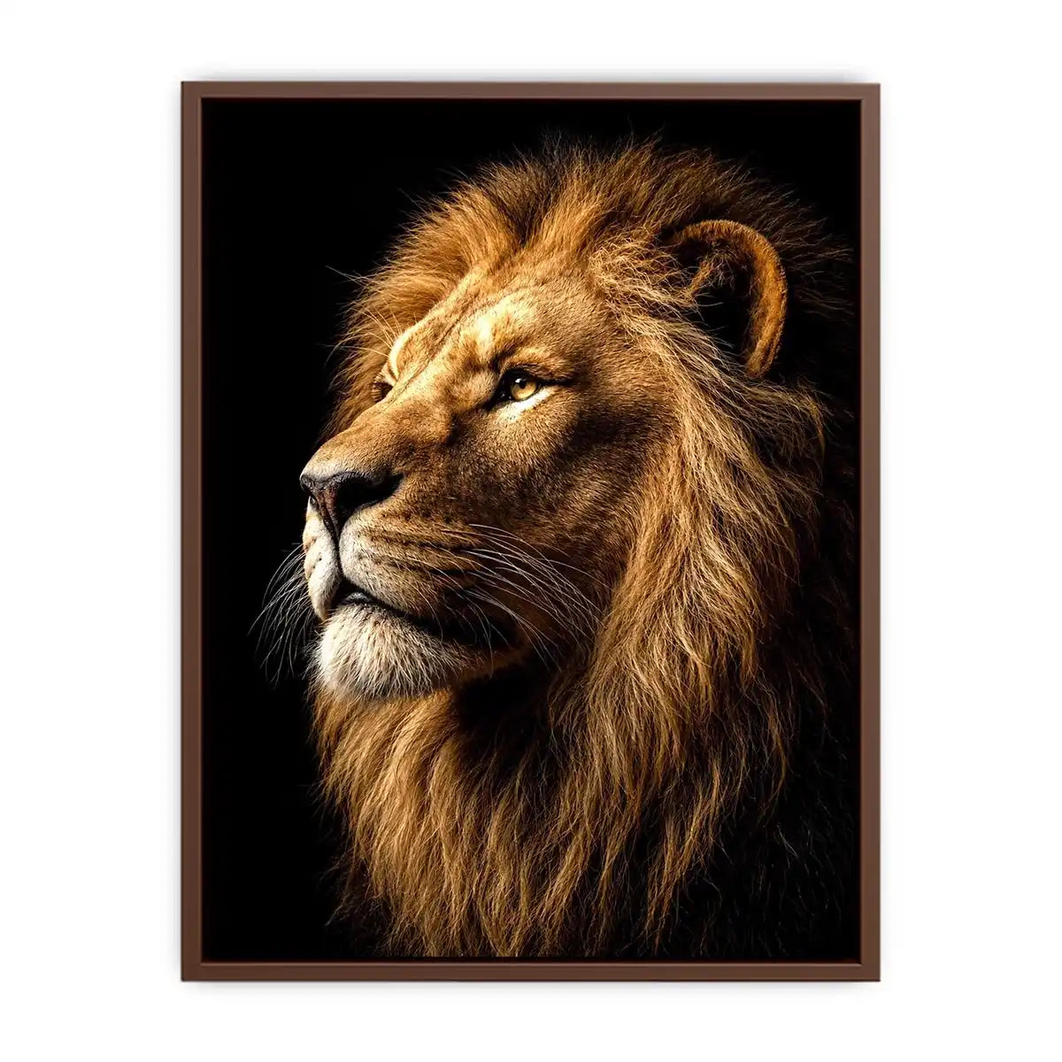 Dramatic lion portrait canvas art with black background for luxury office decor.