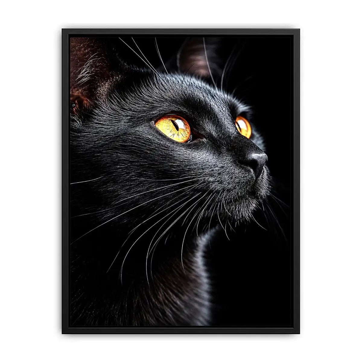 Black cat portrait canvas art with amber eyes for modern room decor.