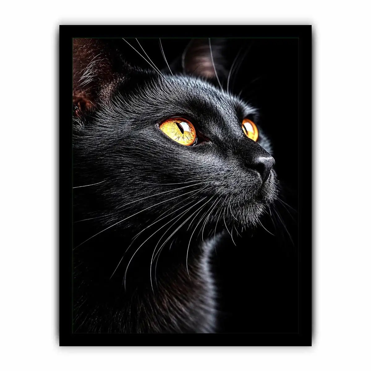 Black cat portrait canvas art with amber eyes for modern room decor.