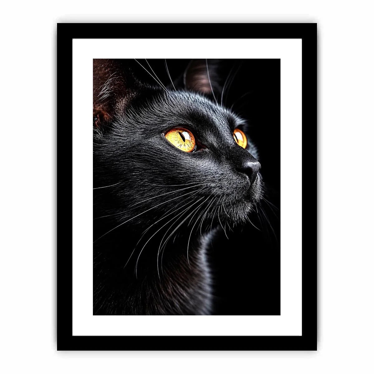 Black cat portrait canvas art with amber eyes for modern room decor.