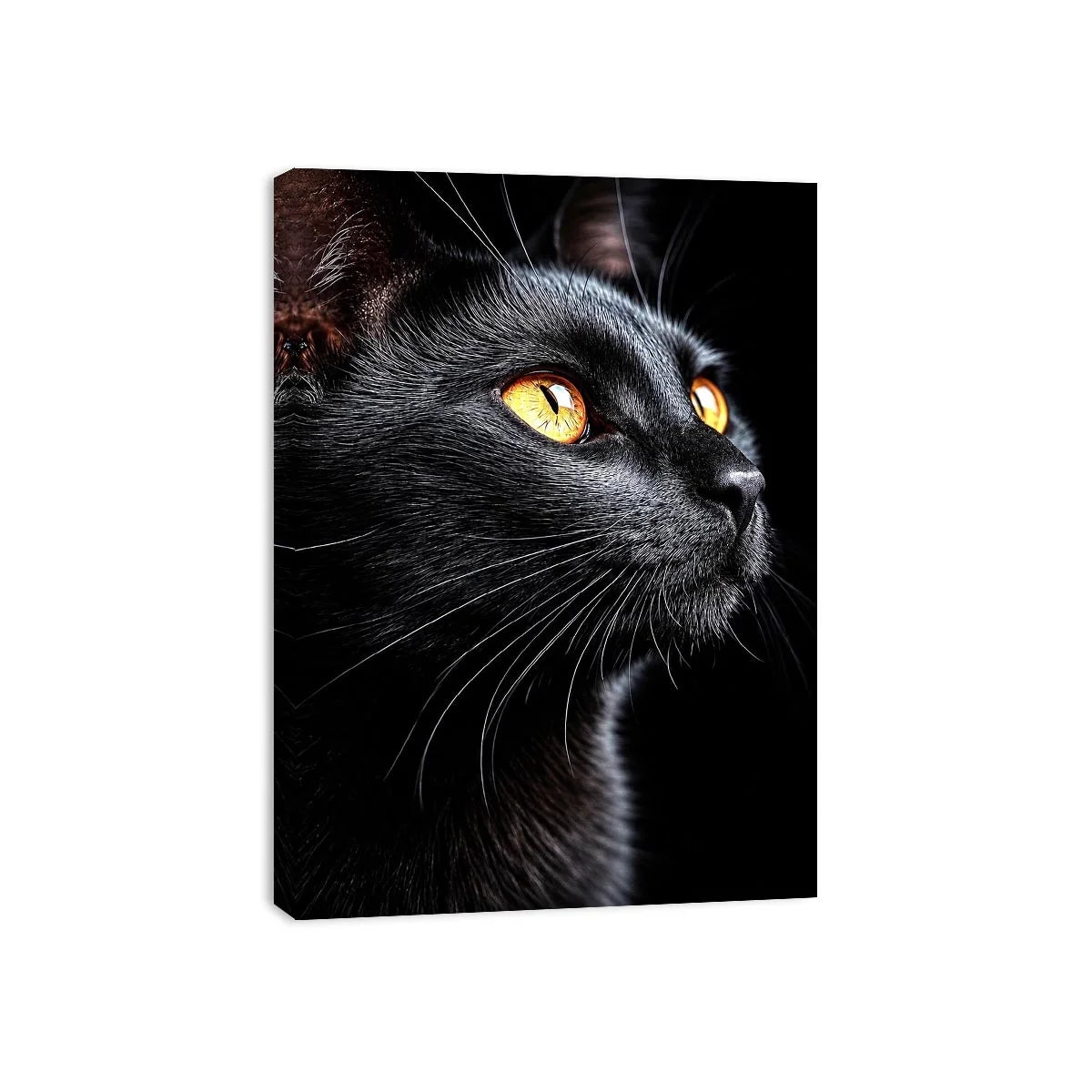 Black cat portrait canvas art with amber eyes for modern room decor.