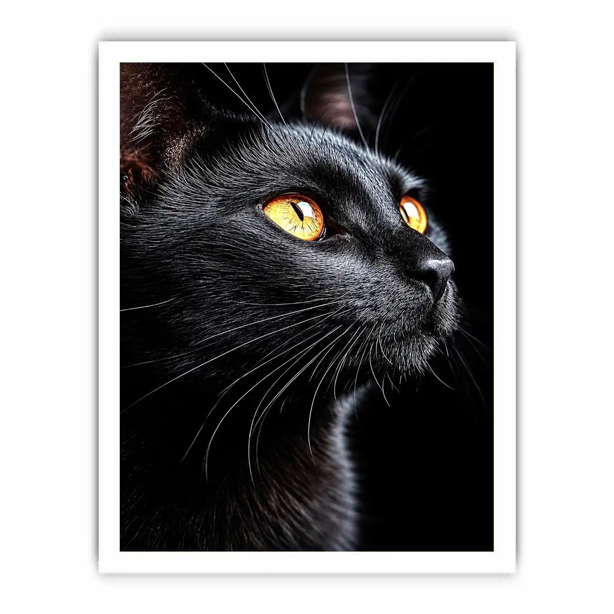 Black cat portrait canvas art with amber eyes for modern room decor.