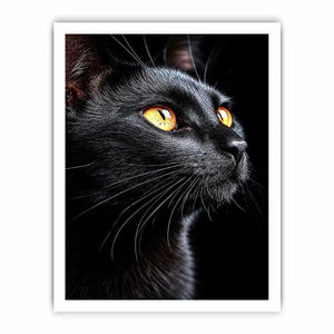 Black cat portrait canvas art with amber eyes for modern room decor.
