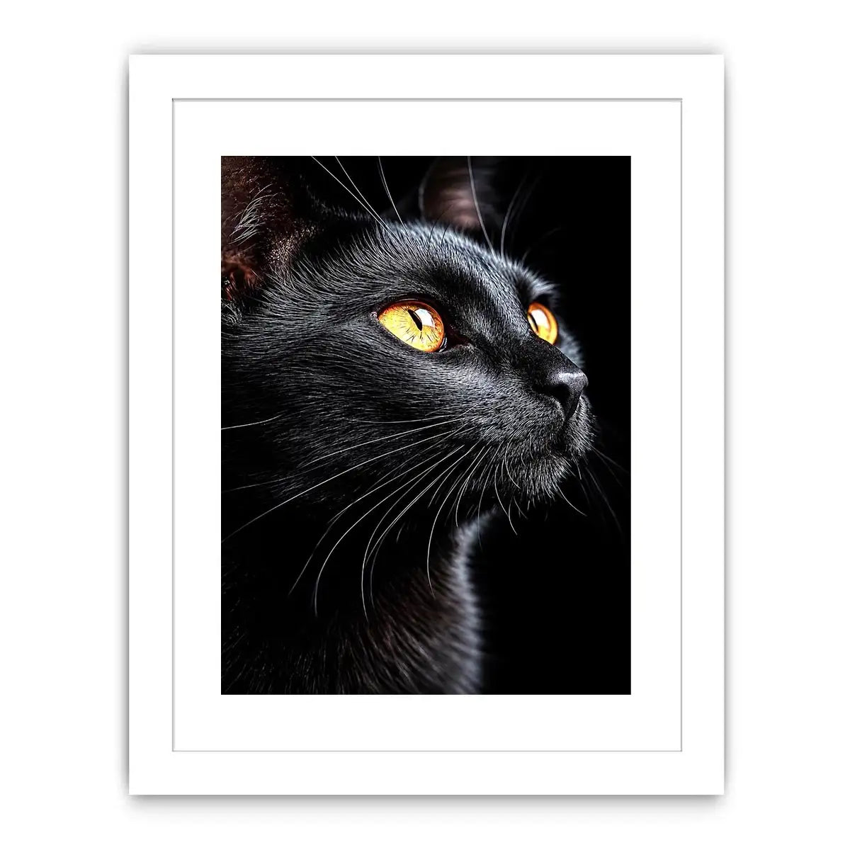 Black cat portrait canvas art with amber eyes for modern room decor.