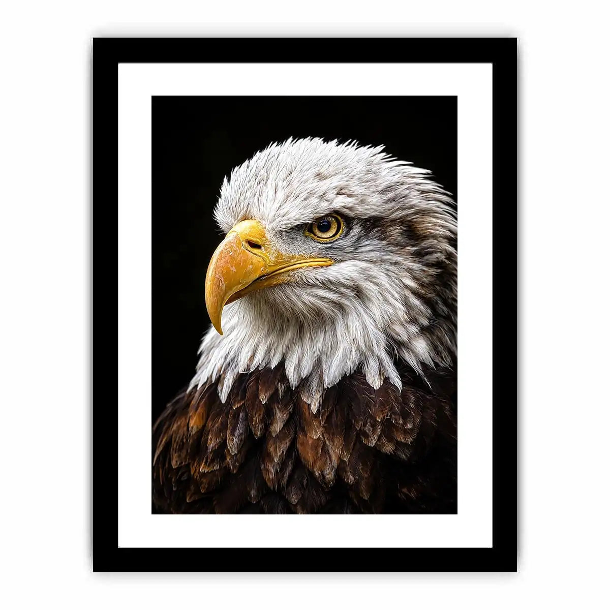 Bald eagle portrait canvas art for office or classic living room decor.