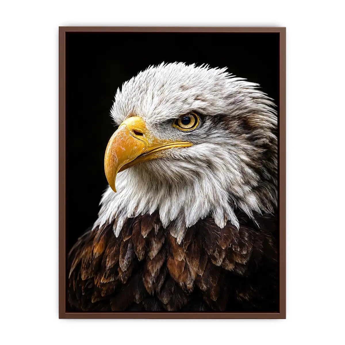 Bald eagle portrait canvas art for office or classic living room decor.