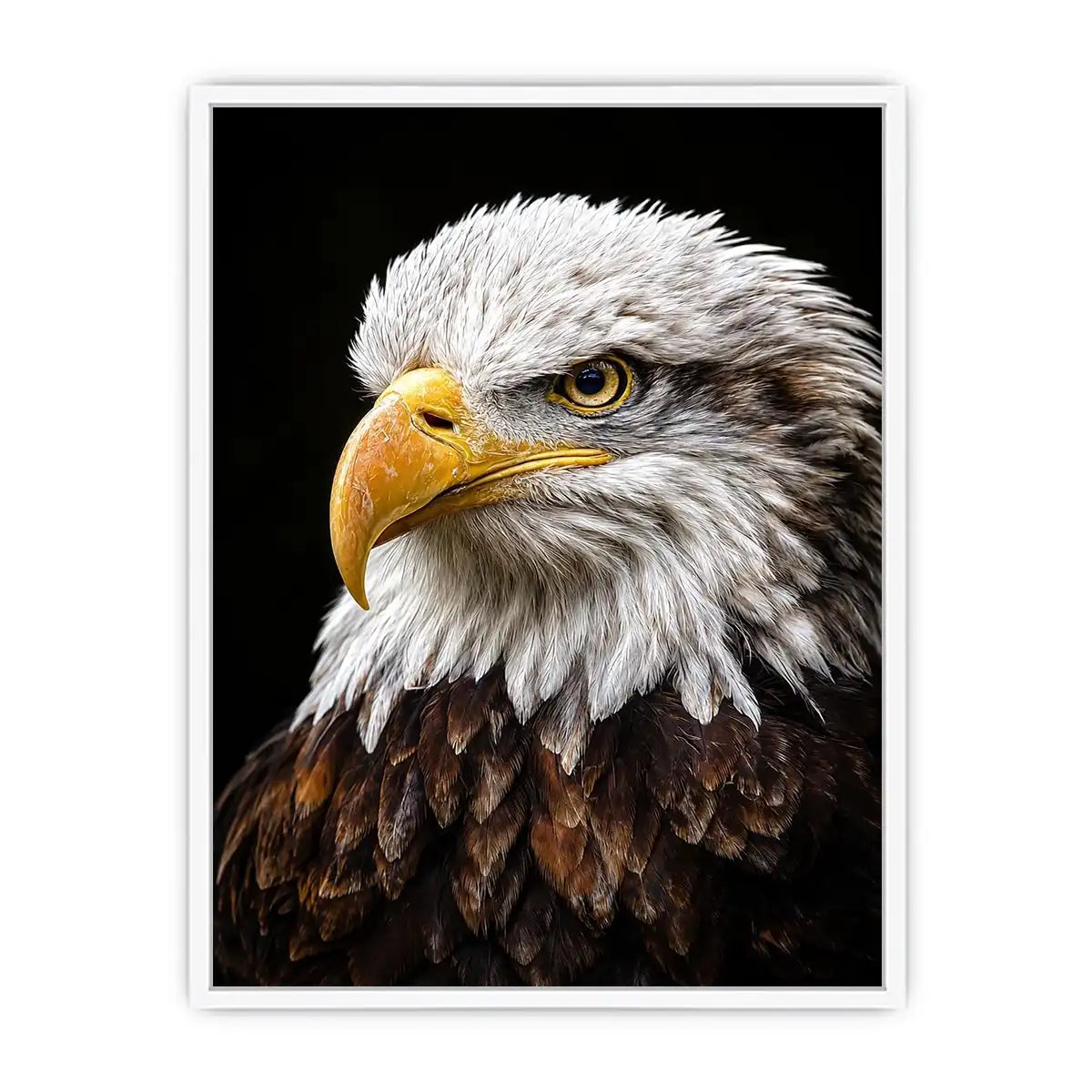 Bald eagle portrait canvas art for office or classic living room decor.