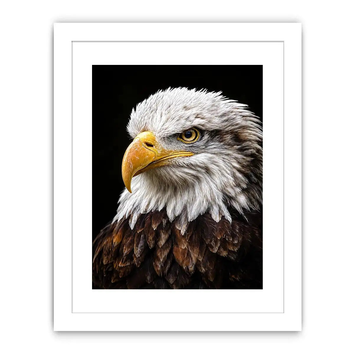 Bald eagle portrait canvas art for office or classic living room decor.